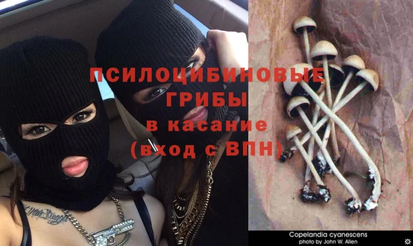 прущие крисы Заводоуковск