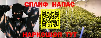 молекула духа Краснодар