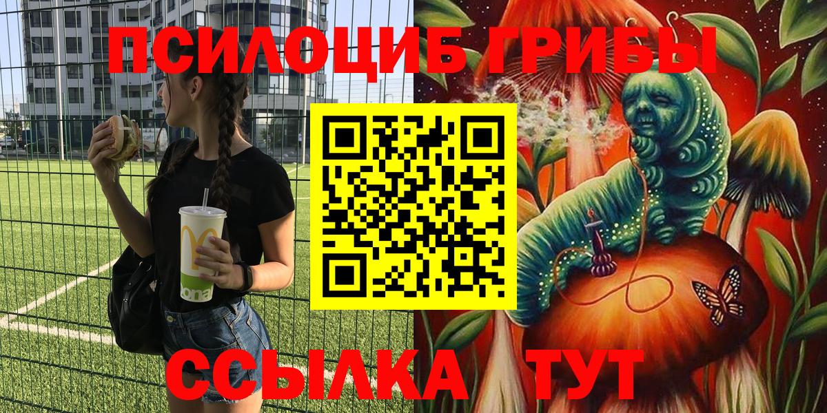 Свободный  наркотики  Вход с VPN  Псилоцибиновые грибы Cubensis  Псилоцибиновые грибы Psilocybine cubensis 