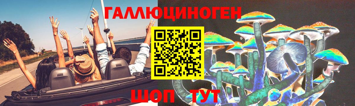 Псилоцибиновые грибы GOLDEN TEACHER Свободный